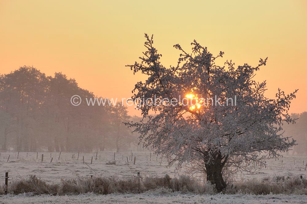 winterindevallei_016.jpg