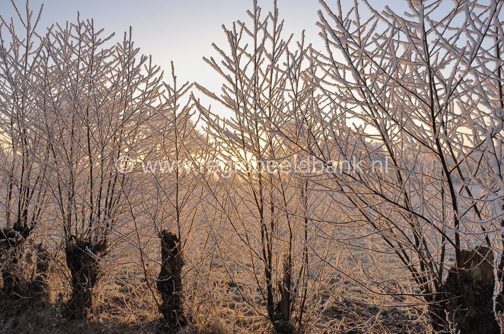 winterindevallei_022.jpg