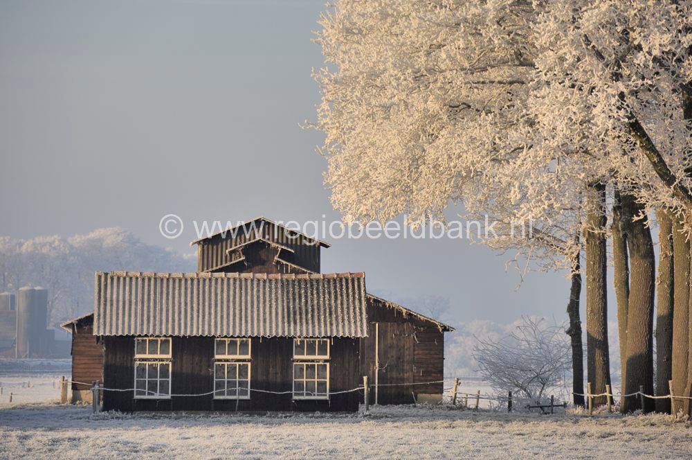 winterindevallei_029.jpg