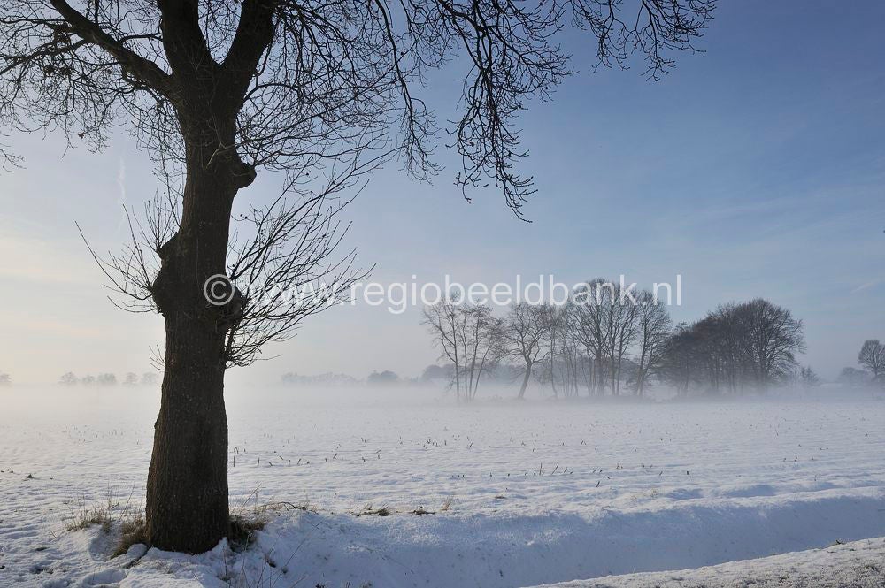 winterindevallei_040.jpg