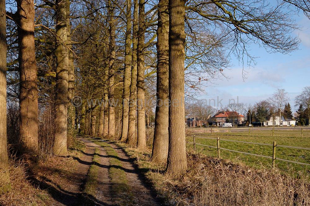 witte_hek_010.jpg