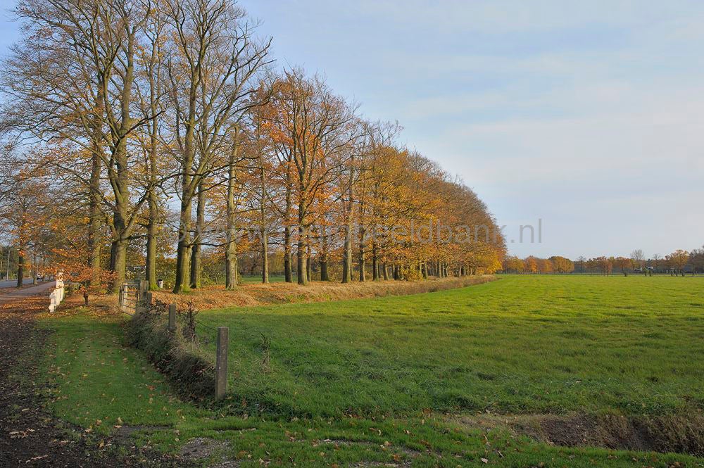 witte_hek_013.jpg