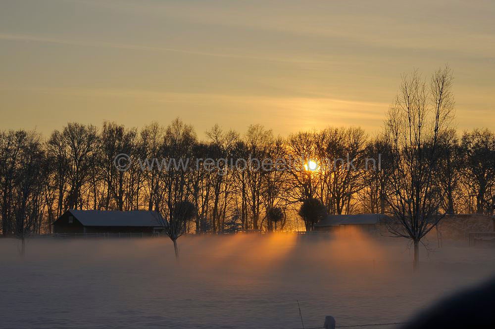 witte_hek_025.jpg