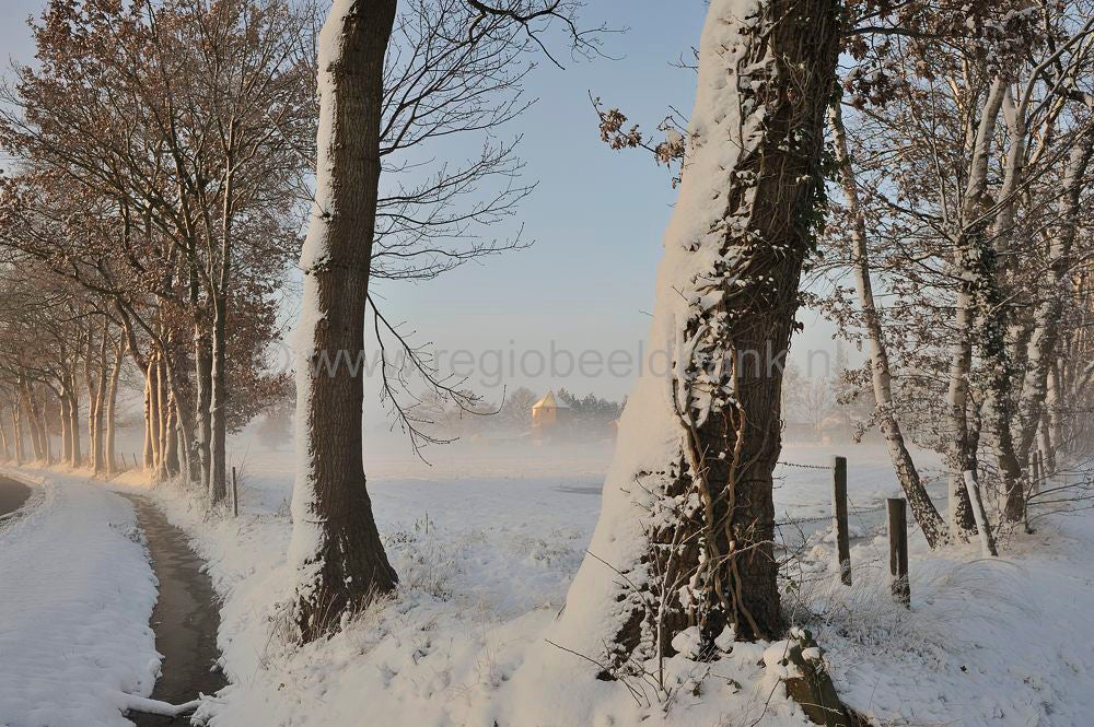 witte_hek_038.jpg