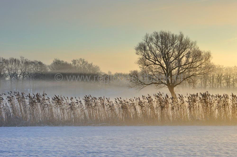 witte_hek_040.jpg