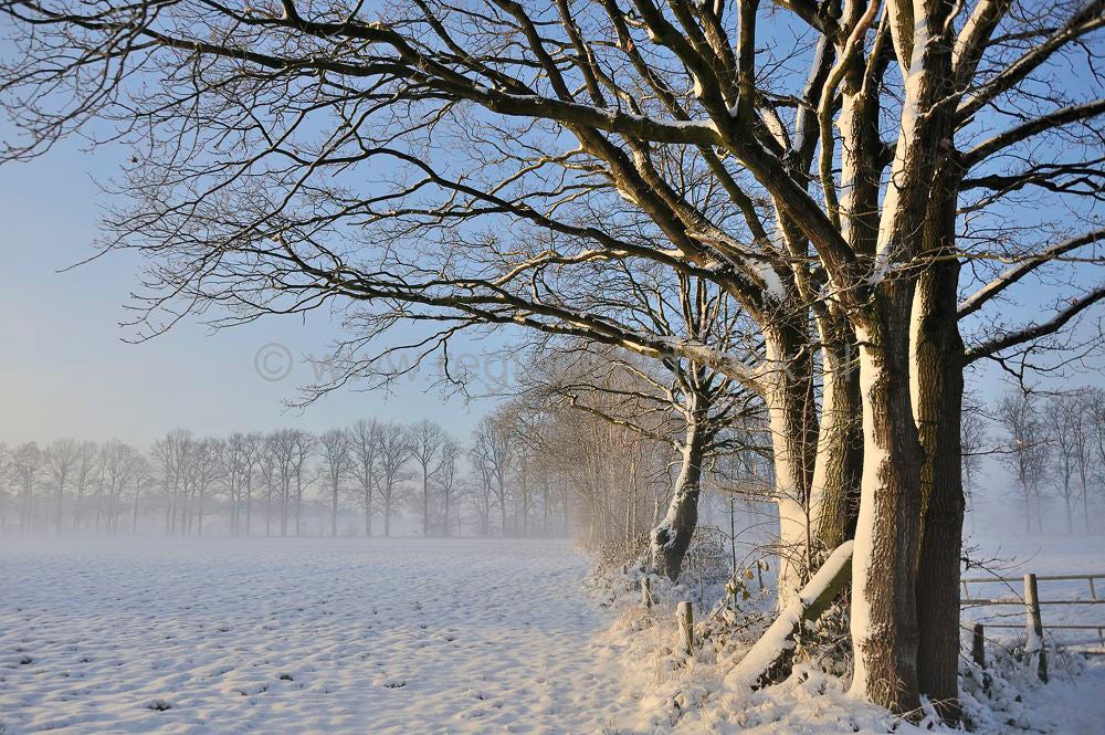 witte_hek_042.jpg