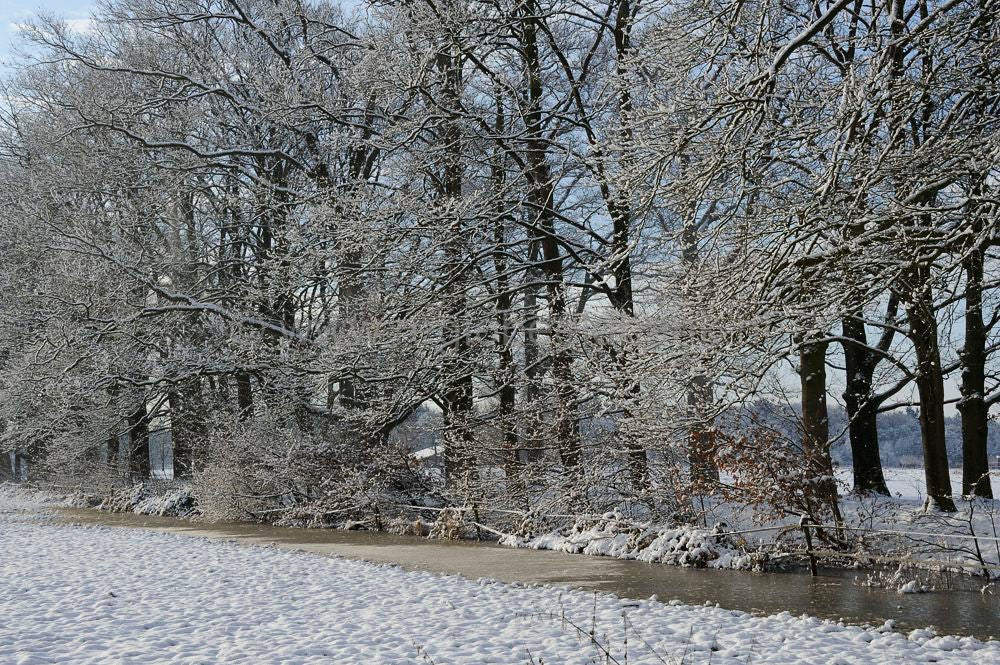 witte_hek_044.jpg