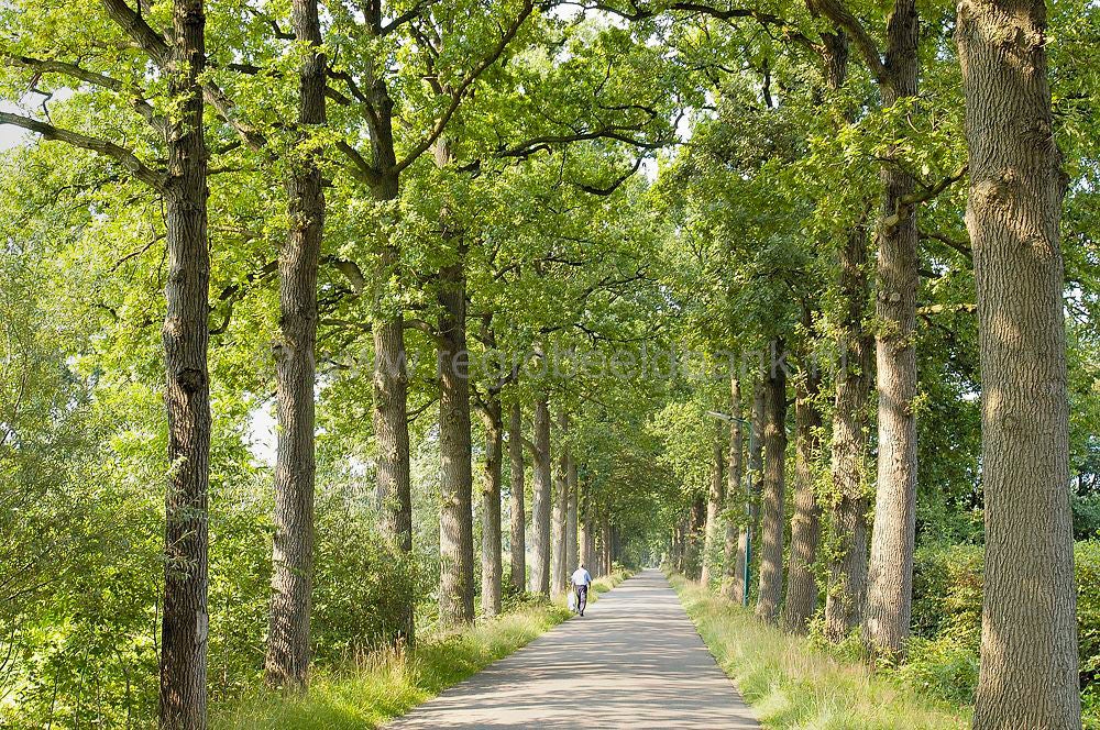 woudenberg_buitengebied_101.jpg