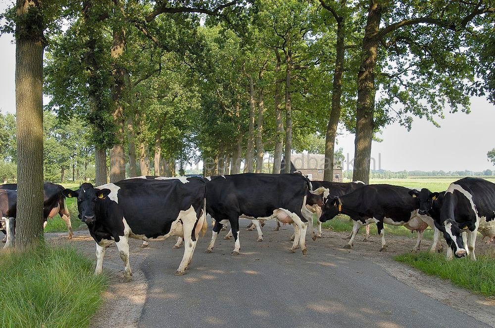 woudenberg_buitengebied_109.jpg