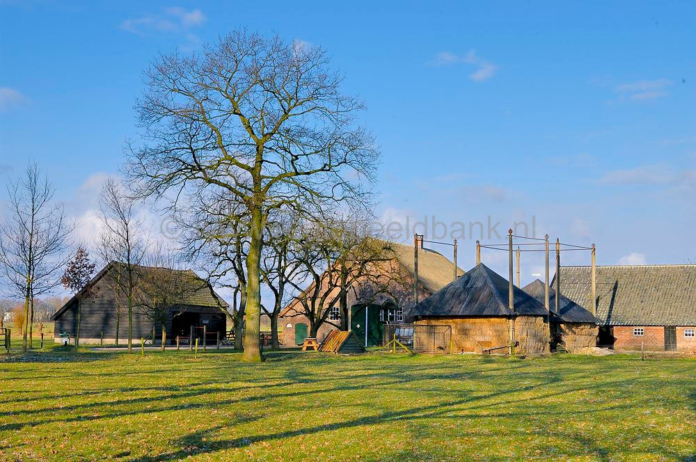 woudenberg_buitengebied_1221.jpg