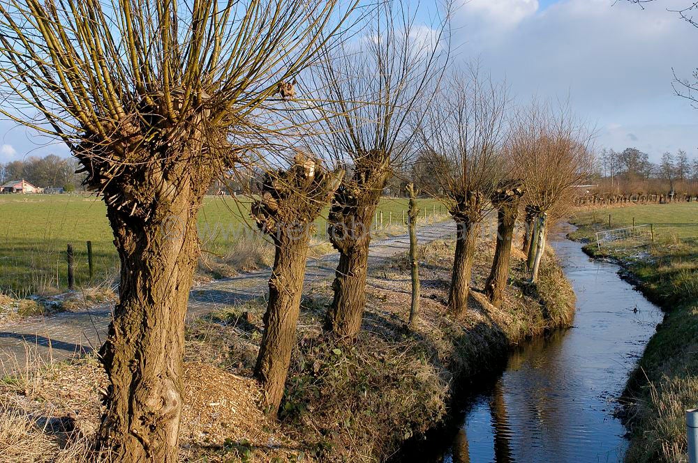 woudenberg_buitengebied_129.jpg