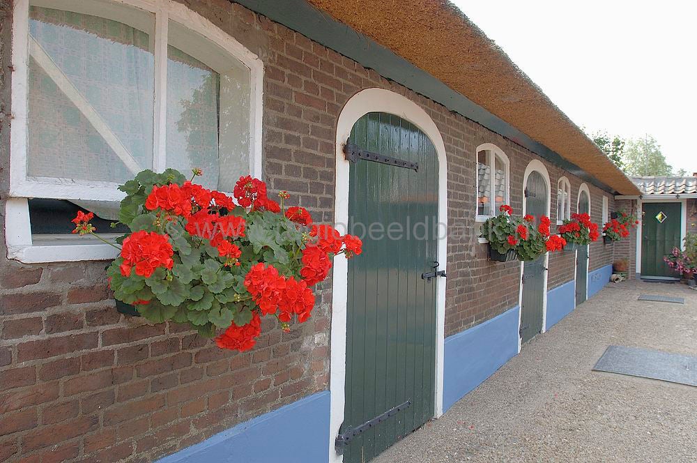 woudenberg_fulkokatrien_017.jpg
