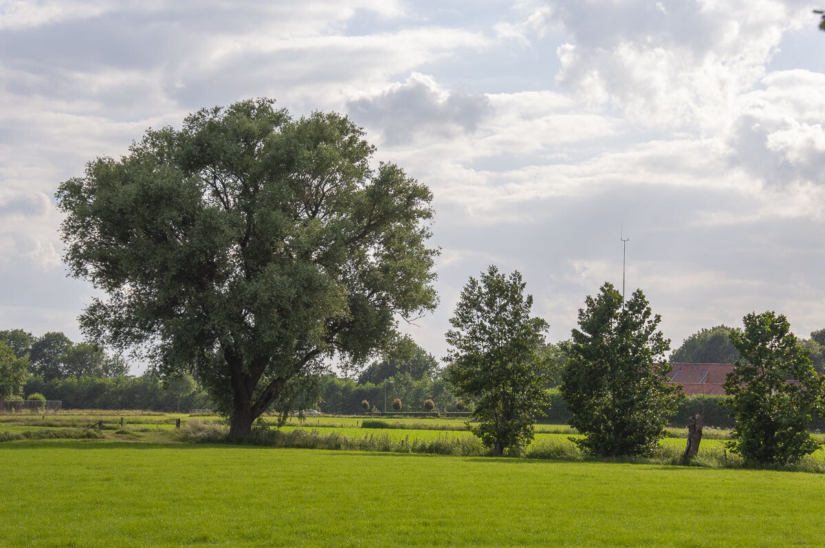 woudenberg_oudenhorsterpad_038-1.jpg