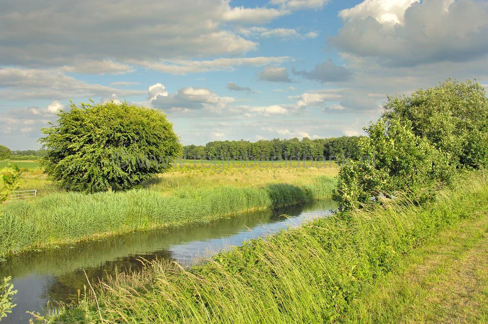 woudenberg_oudenhorsterpad_069.jpg