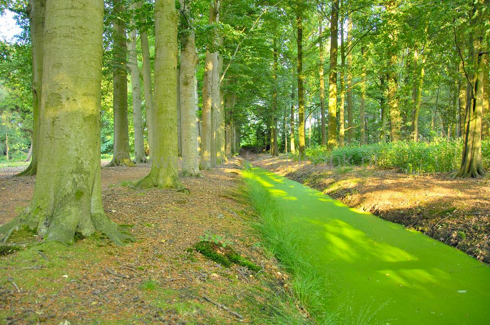 woudenberg_oudenhorsterpad_073.jpg