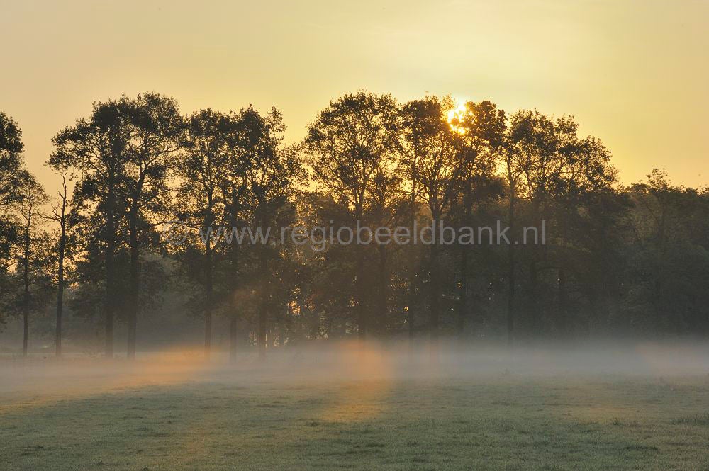 woudenberg_rumel_049.jpg
