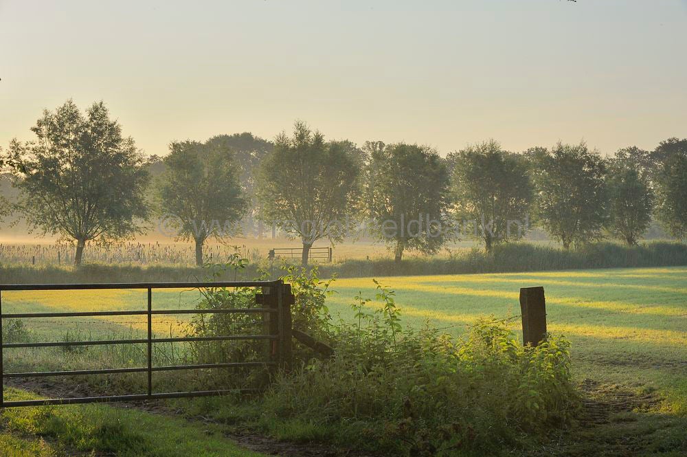 woudenberg_rumel_051.jpg