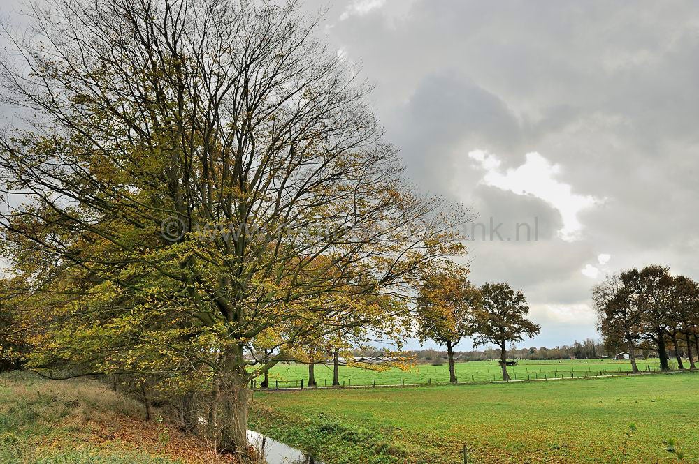 woudenberg_rumel_055.jpg