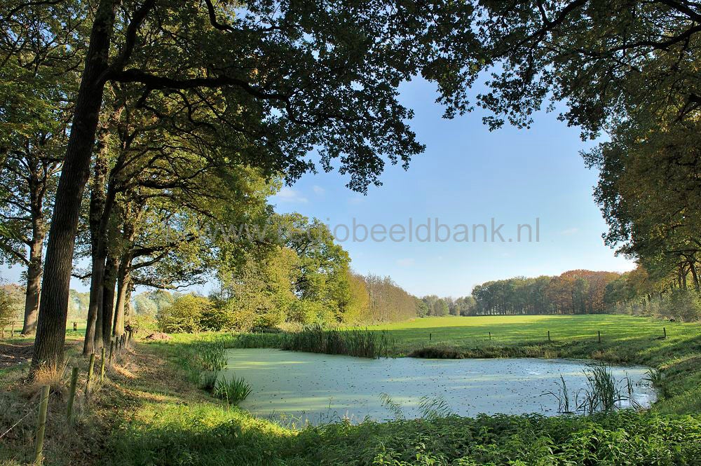 woudenberg_rumelaar_017.jpg