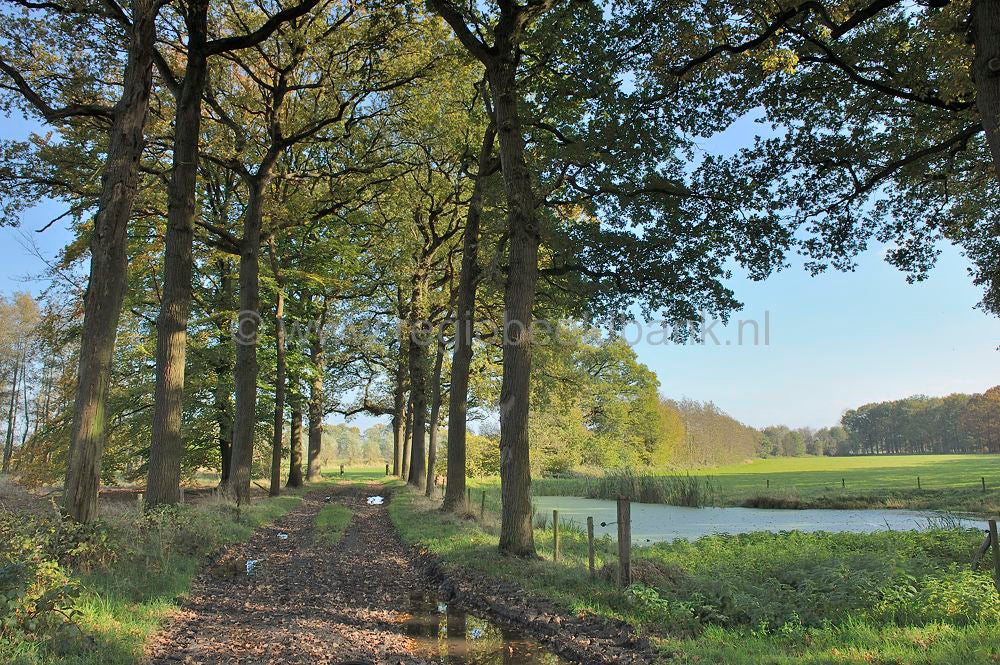 woudenberg_rumelaar_024.jpg