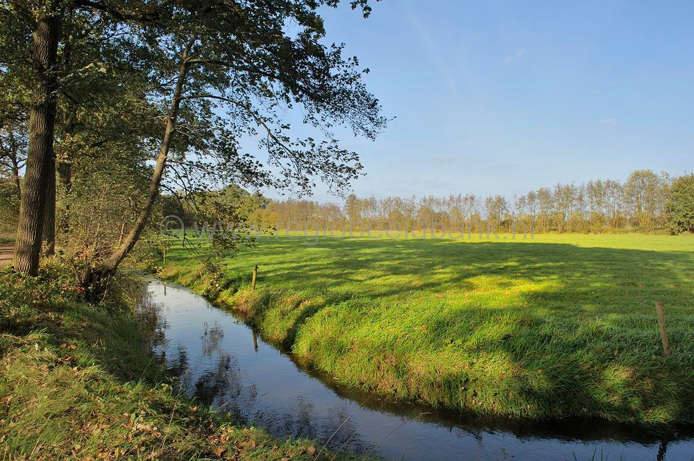 woudenberg_rumelaar_028.jpg