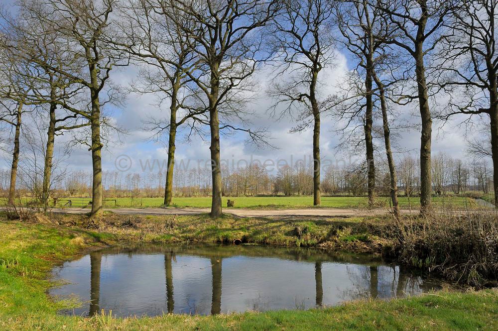 woudenberg_rumelaar_034.jpg