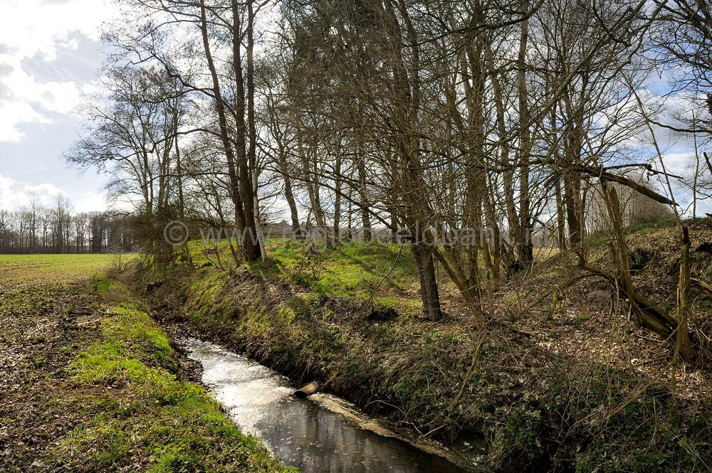woudenberg_rumelaar_036.jpg