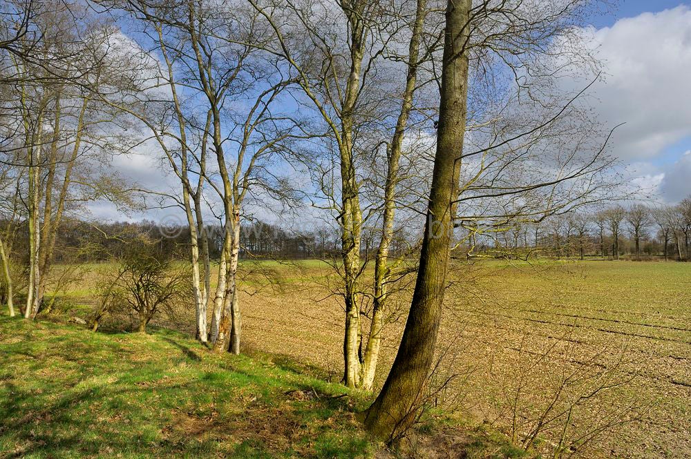 woudenberg_rumelaar_038.jpg