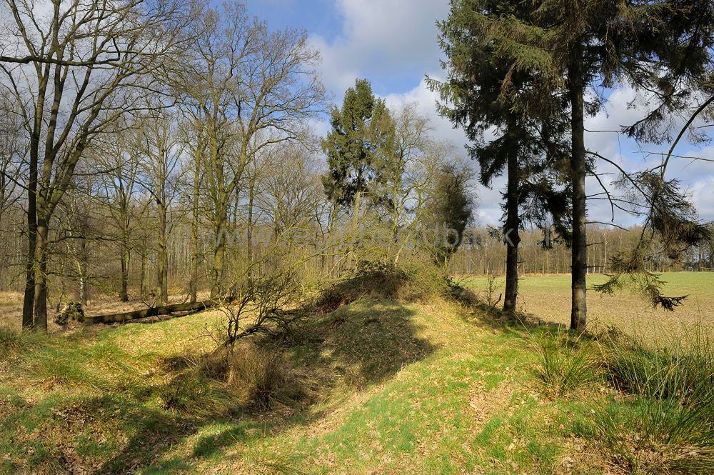 woudenberg_rumelaar_042-1.jpg