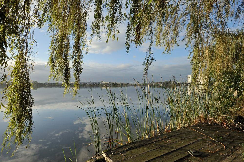zaanstreek_016.jpg