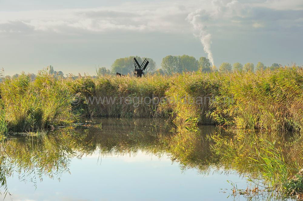 zaanstreek_053.jpg