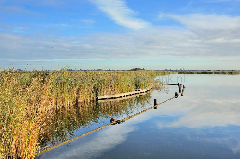 zaanstreek_078.jpg
