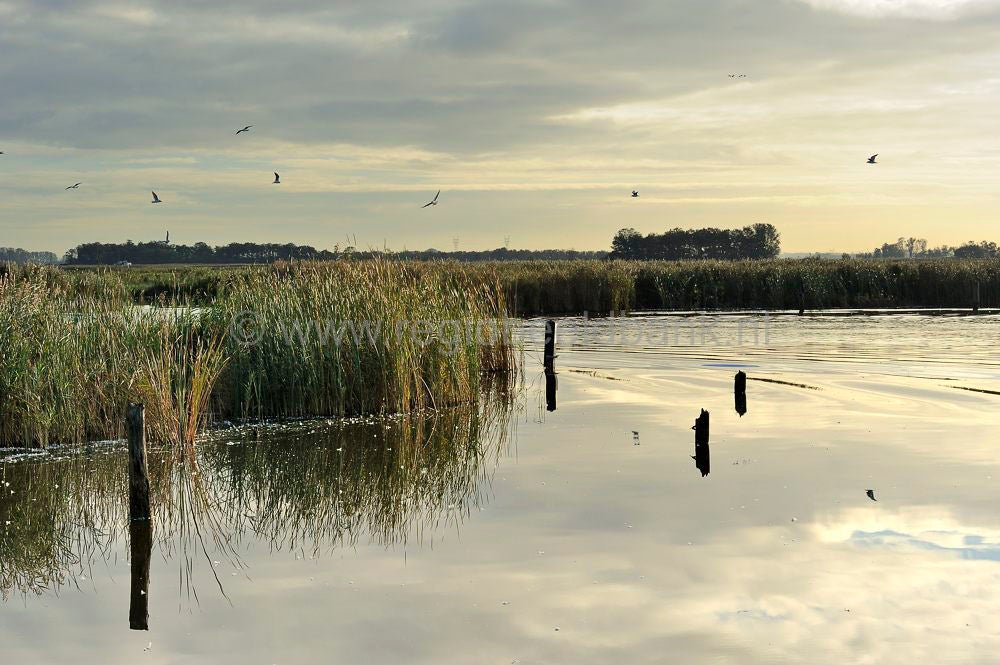 zaanstreek_081.jpg