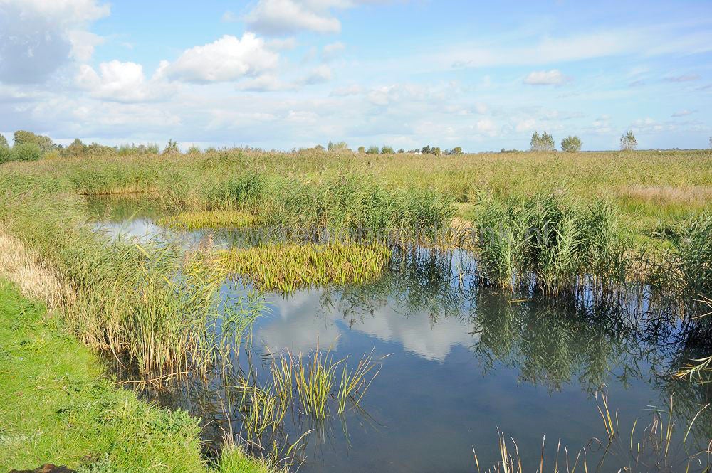zaanstreek_173-1.jpg