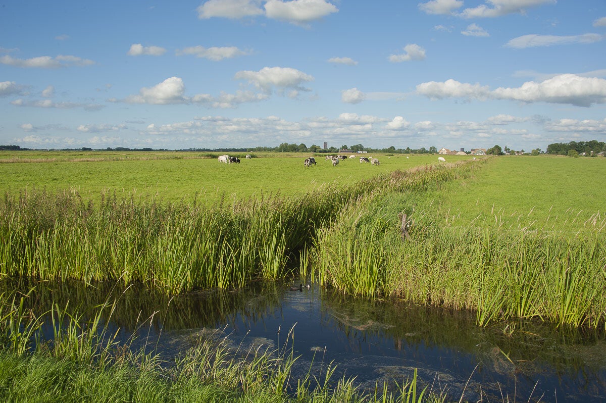 zeldertsepad_009.jpg