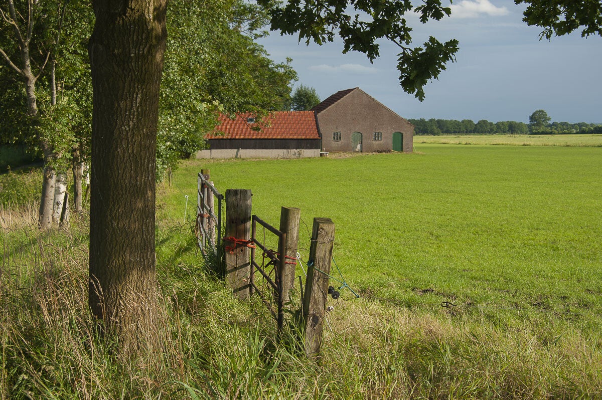 zeldertsepad_011.jpg