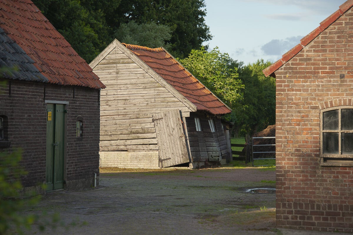 zeldertsepad_021-1.jpg