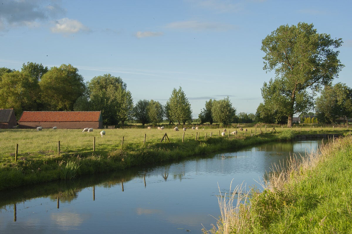 zeldertsepad_027.jpg