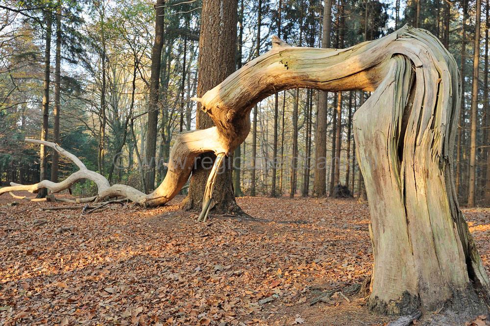 zonneheuvel_007.jpg