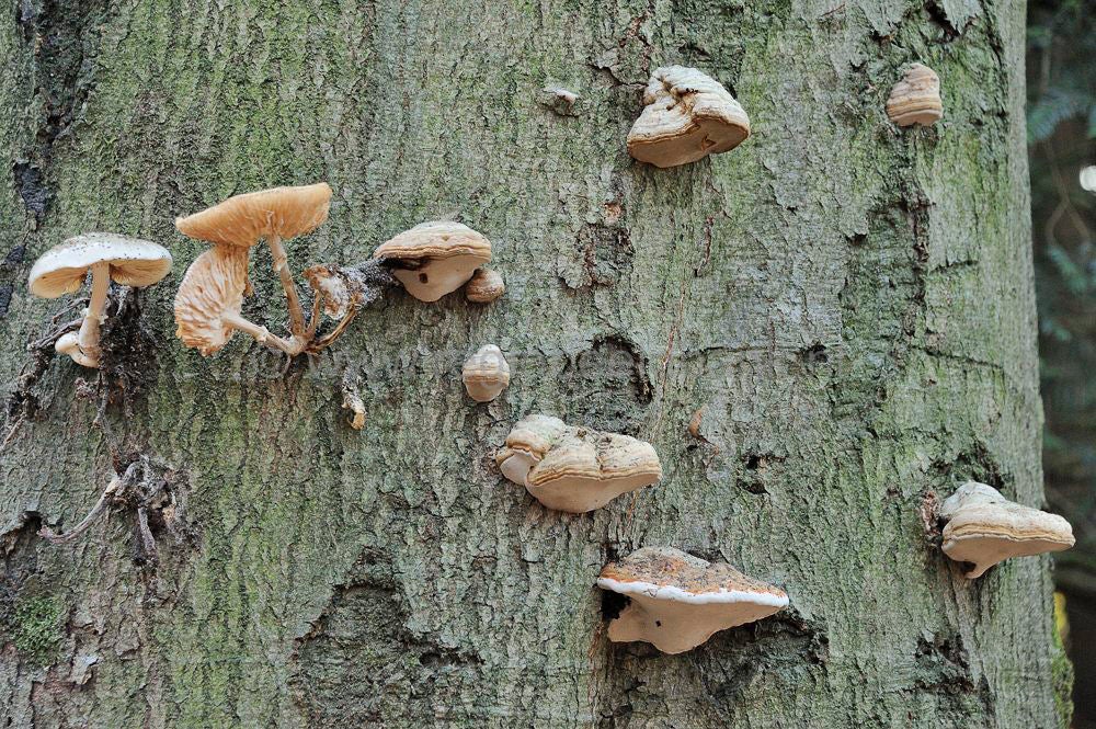 zonneheuvel_011.jpg