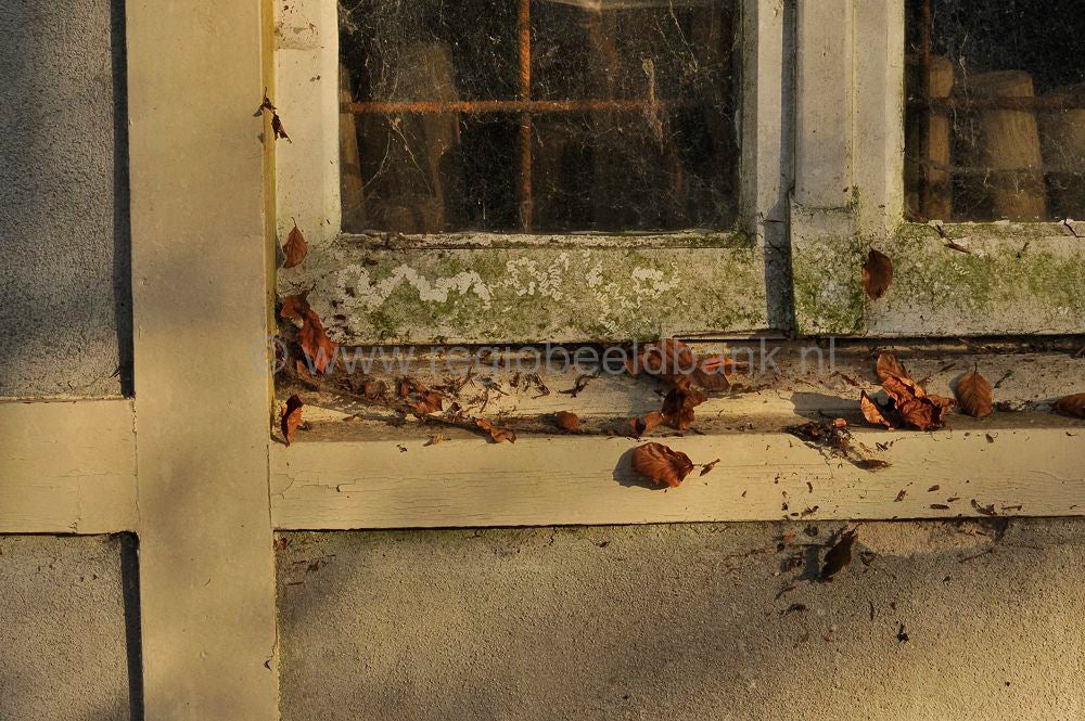 zonneheuvel_013.jpg