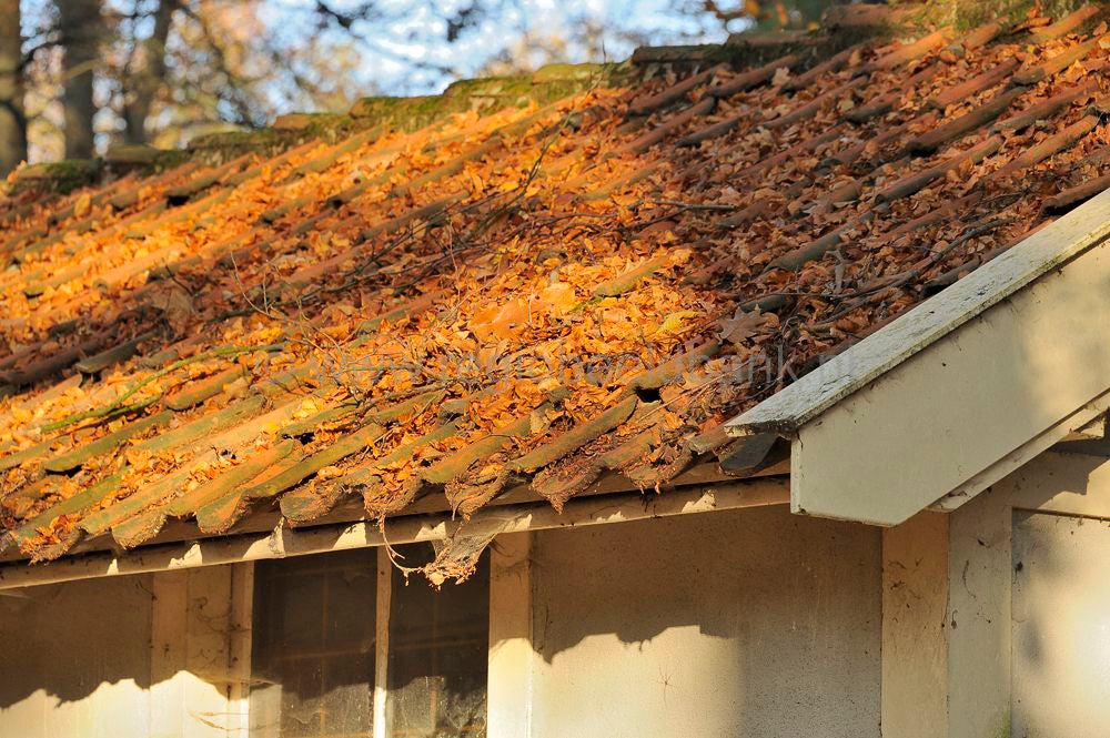 zonneheuvel_015.jpg