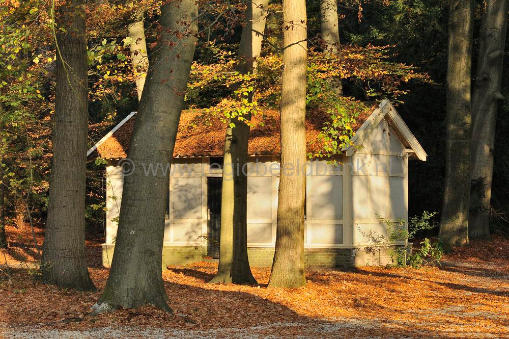 zonneheuvel_017.jpg