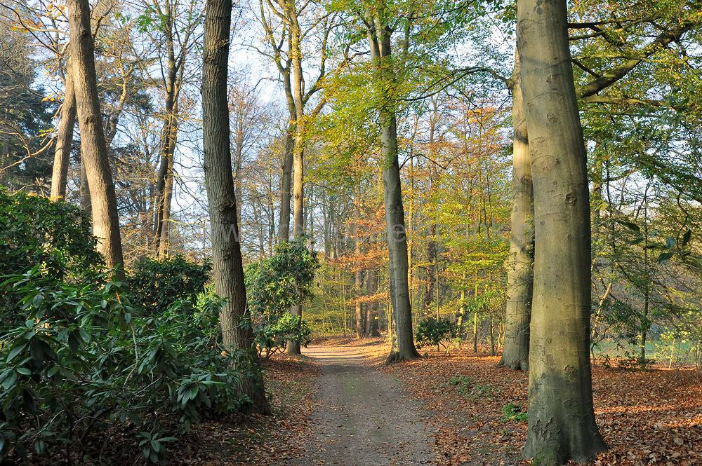 zonneheuvel_019.jpg