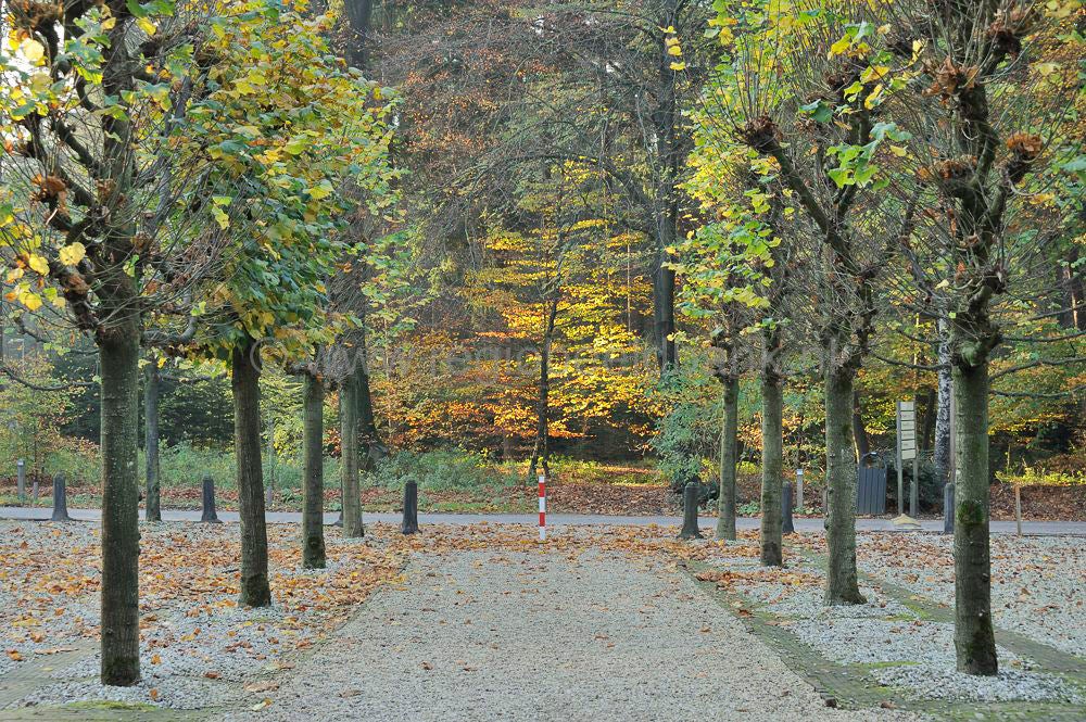 zonneheuvel_021.jpg