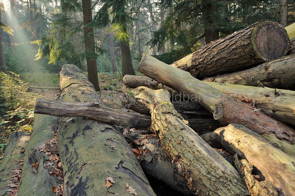 zonneheuvel_025.jpg