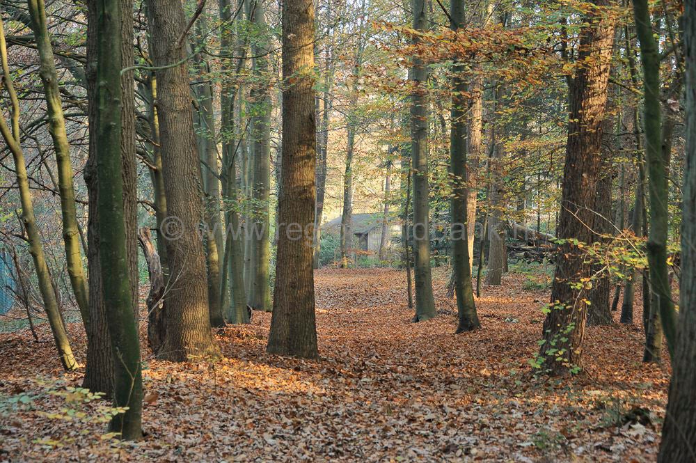 zonneheuvel_027.jpg