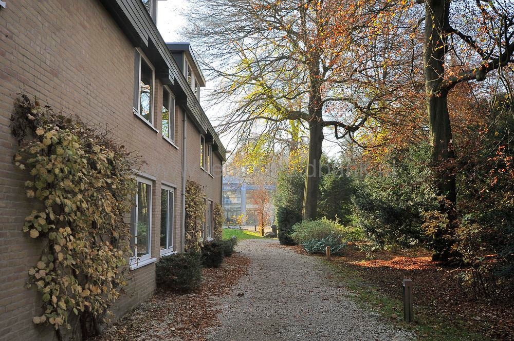 zonneheuvel_053.jpg