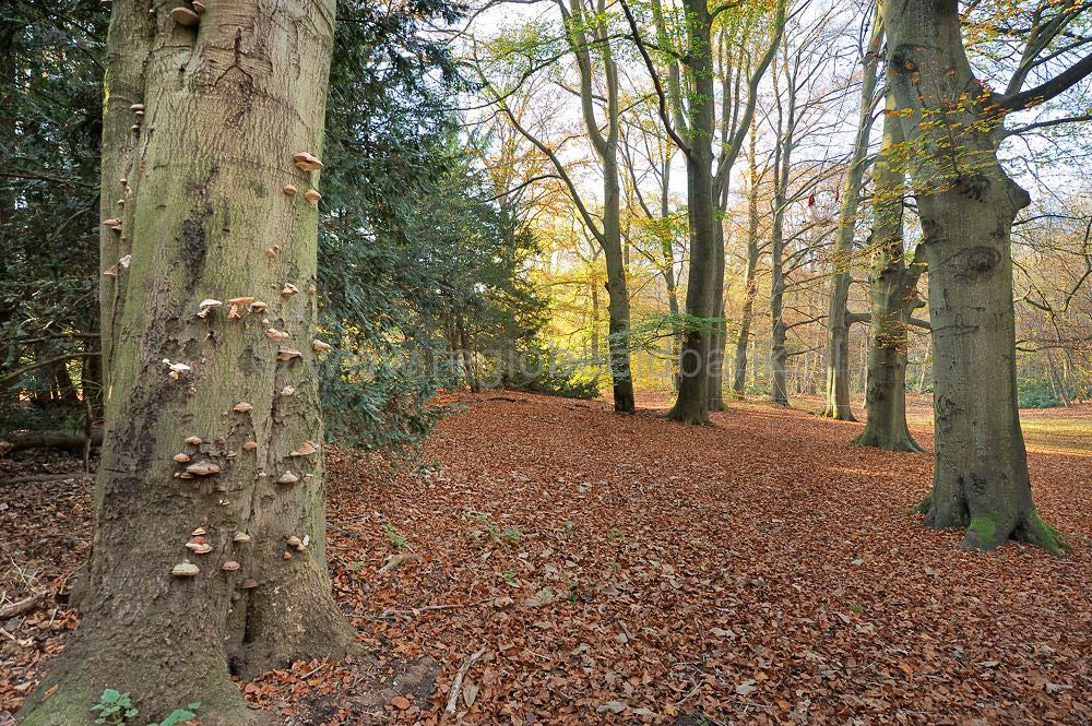 zonneheuvel_084.jpg