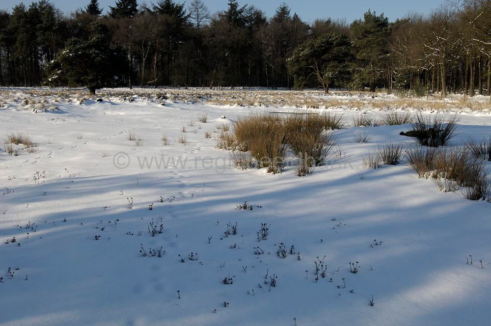 zwartewater_011.jpg